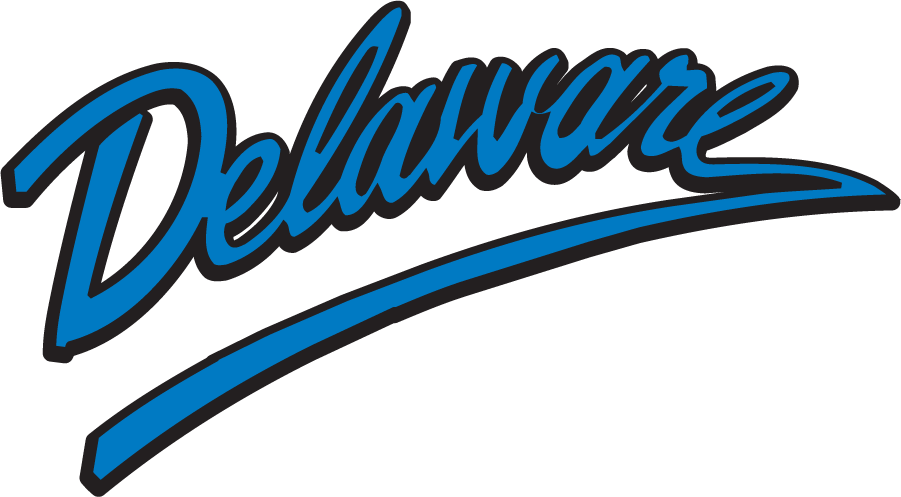 Delaware Blue Hens 1999-2009 Wordmark Logo diy DTF decal sticker